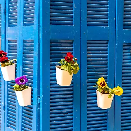 Oasis In The Centre Atenas